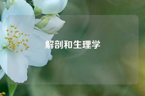 解剖和生理学